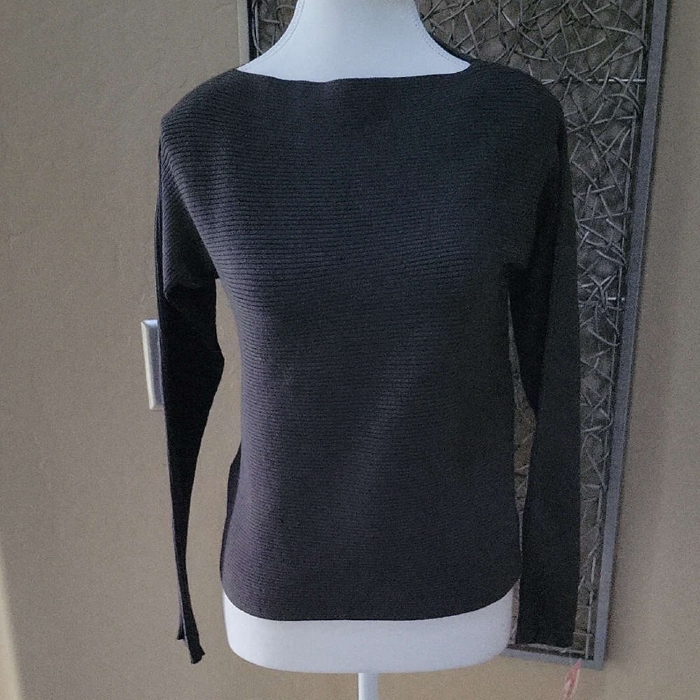 ISDA & Co. Ash Merz Stretch Dolman Sleeve  Sweater